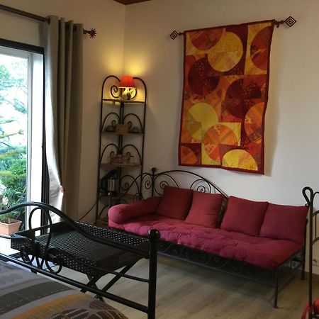 Mas Soleil Et Vignes Bed & Breakfast Saint-Hippolyte  Exterior photo