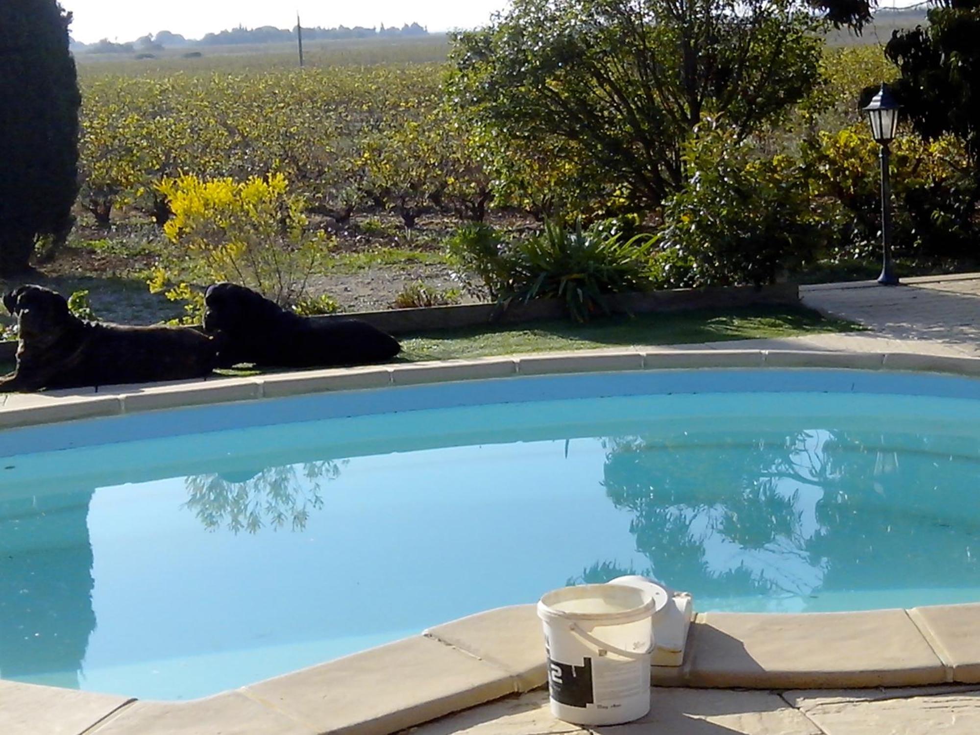 Mas Soleil Et Vignes Bed & Breakfast Saint-Hippolyte  Exterior photo